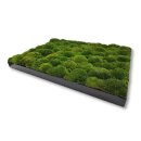 Moosbilld Polstermoos Waldgrün - Alurahmen Eckig 50 x 100 cm-Schwarz Lackiert