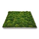 Moosbilld Polstermoos Waldgrün - Alurahmen Eckig 60 x 140 cm-Alu Gebürstet