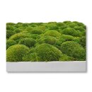 Moosbilld Polstermoos Waldgrün - Alurahmen Eckig 60 x 140 cm-Weiß Lackiert