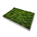Moosbilld Polstermoos Waldgrün - Alurahmen Eckig 60 x 60 cm-Alu Gebürstet