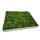 Moosbilld Polstermoos Waldgrün - Alurahmen Eckig 60 x 60 cm-Weiß Lackiert