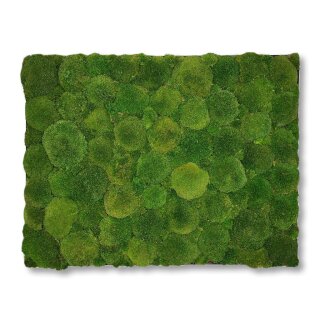 Moosbilld Polstermoos Waldgrün - Alurahmen Eckig 60 x 80 cm-Alu Gebürstet