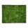 Moosbilld Polstermoos Waldgrün - Alurahmen Eckig 80 x 120 cm-Schwarz Lackiert