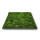 Moosbilld Polstermoos Waldgrün - Alurahmen Eckig 80 x 120 cm-Schwarz Lackiert