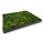 Moosbilld Polstermoos Waldgrün - Alurahmen Eckig 80 x 120 cm-Schwarz Lackiert