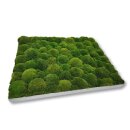 Moosbilld Polstermoos Waldgrün - Alurahmen Eckig 80 x 120 cm-Weiß Lackiert