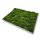 Moosbilld Polstermoos Waldgrün - Alurahmen Eckig 80 x 120 cm-Weiß Lackiert