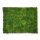 Moosbilld Polstermoos Waldgrün - Alurahmen Eckig 80 x 80 cm-Weiß Lackiert