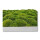 Moosbilld Polstermoos Waldgrün - Alurahmen Eckig 80 x 80 cm-Weiß Lackiert