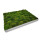 Moosbilld Polstermoos Waldgrün - Alurahmen Eckig 80 x 80 cm-Weiß Lackiert
