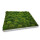 Moosbilld Polstermoos Waldgrün - Alurahmen Eckig 80 x 80 cm-Weiß Lackiert