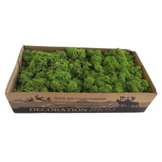 Konserviertes Islandmoos - Mittelgrün - Lose verpackt