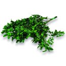 Stabilisierter Pittosporum Klebsamen - Farbe Grün...
