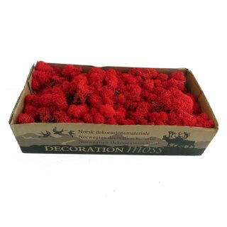 Konserviertes Islandmoos - Rot - Lose verpackt