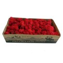 Konserviertes Islandmoos - Rot - Lose verpackt