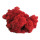 Konserviertes Islandmoos - Rot - Lose verpackt