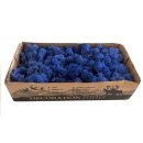 Konserviertes Islandmoos - Königsblau - Lose verpackt