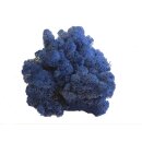 Konserviertes Islandmoos - Königsblau - Lose verpackt