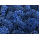 Konserviertes Islandmoos - Königsblau - Lose verpackt