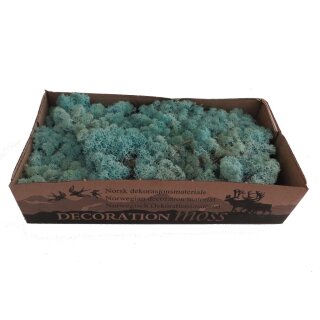 Konserviertes Islandmoos - Aquamarin - Lose verpackt