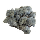 Konserviertes Islandmoos - Eisblau - Lose verpackt