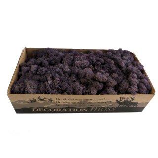 Konserviertes Islandmoos - Aubergine - Lose verpackt