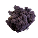 Konserviertes Islandmoos - Aubergine - Lose verpackt