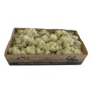 Konserviertes Islandmoos - Natur - Lose verpackt