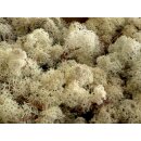 Konserviertes Islandmoos - Natur - Lose verpackt