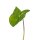 Kunstpflanzen-Blatt - Aronstab-Blatt - Blatt 15 x 23 cm - L&auml;nge 53 cm