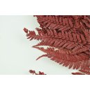 Stabilisierte Farne - Rumora Farn - Rot