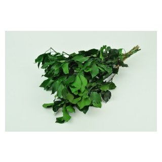 Stabilisierter Efeu - Hedera - Grün - Strauß 150 Gramm
