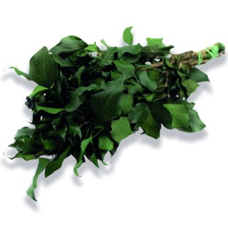 Stabilisierter Efeu - Hedera - Gr�n - Strau� 150 Gramm