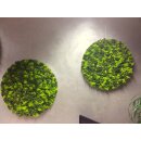 Moosbild Islandmoos - Alurahmen Rund - Elements Erde
