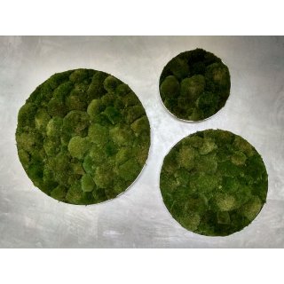 Moosbild Bollmoos - Alurahmen Rund - Farbe Waldgrün