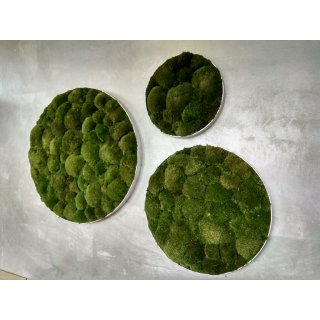 Moosbild Bollmoos - Alurahmen Rund - Farbe Waldgr�n