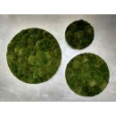 Moosbild Bollmoos - Alurahmen Rund - Farbe Waldgrün