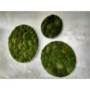 Moosbild Bollmoos - Alurahmen Rund - Farbe Waldgrün