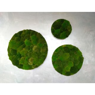 Moosbild Bollmoos - Alurahmen Rund - Farbmischung Mix