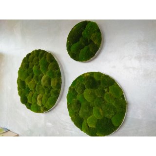 Moosbild Bollmoos - Alurahmen Rund - Farbmischung Mix