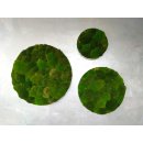 Moosbild Bollmoos - Alurahmen Rund - Farbmischung Mix