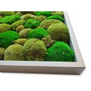 Moosbilder - Rahmen eckig silberfarbend - Polstermoos Premium - Mix