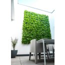 Kunstpflanzen-Paneele Schefflera - 50x50 cm