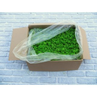 Moospaneelen - EasyMoos - Islandmoos Fr�hlingsgr�n - Karton