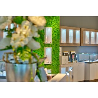 Moospaneelen - EasyMoos - Islandmoos Fr�hlingsgr�n - Karton