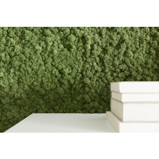 Moospaneelen - EasyMoos - Islandmoos Waldgr�n - Karton