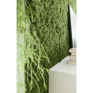 Moospaneelen - EasyMoos - Islandmoos Waldgr�n - Karton